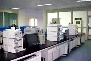 蘭州石化職業(yè)技術(shù)學(xué)院 石油化學(xué)工程學(xué)院化工專業(yè)介紹